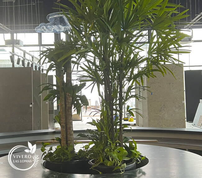 Servicio de paisajimo