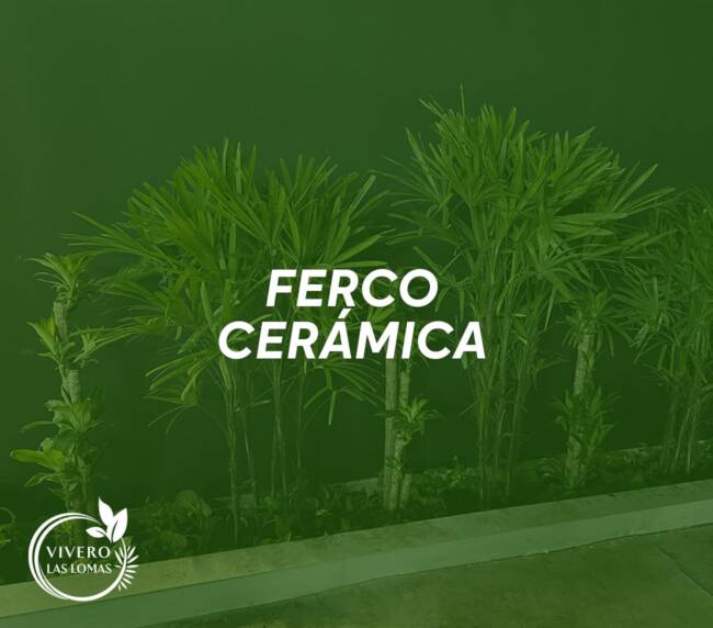 Servicio de paisajimo