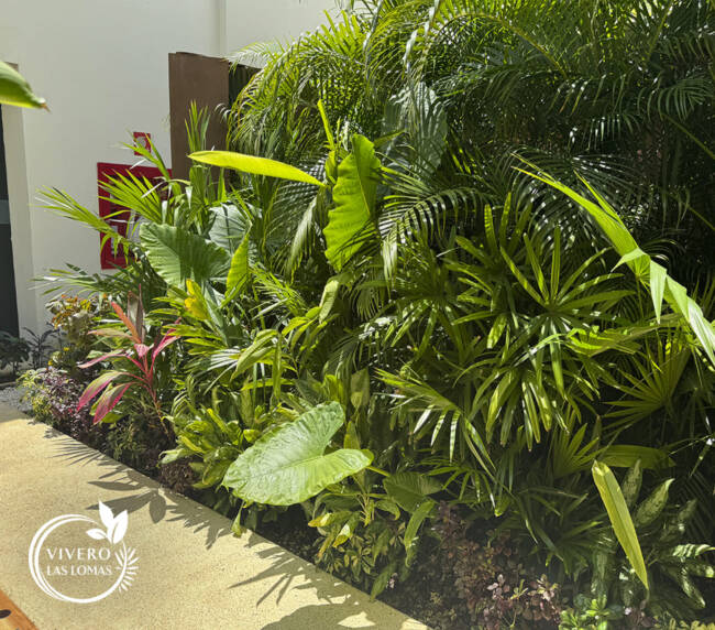 Paisajismo en hoteles