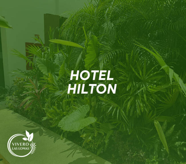 Paisajismo en hoteles