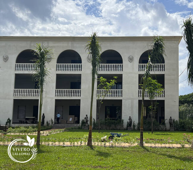 Paisajismo en universidades