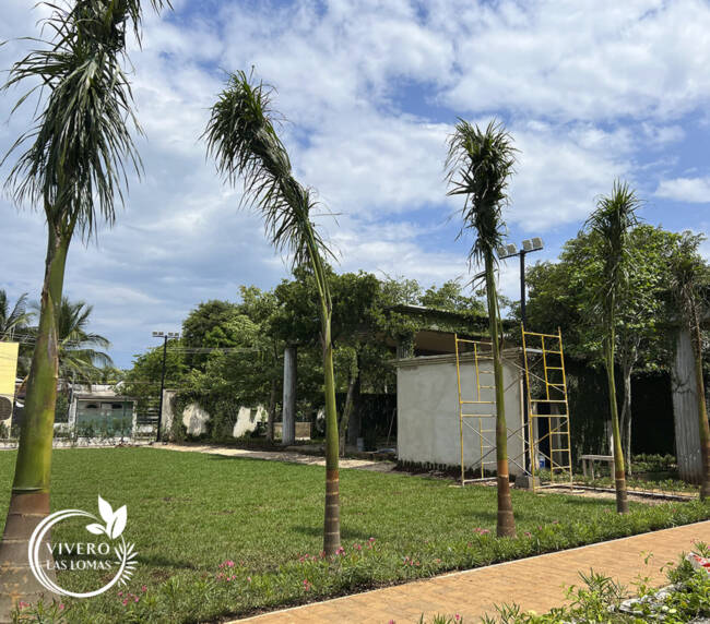 Paisajismo en universidades