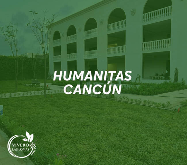 Paisajismo en universidades