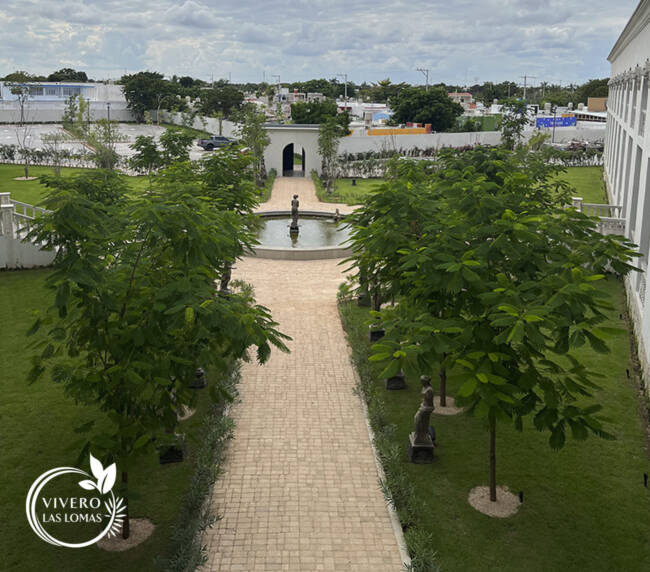 Paisajismo en universidades