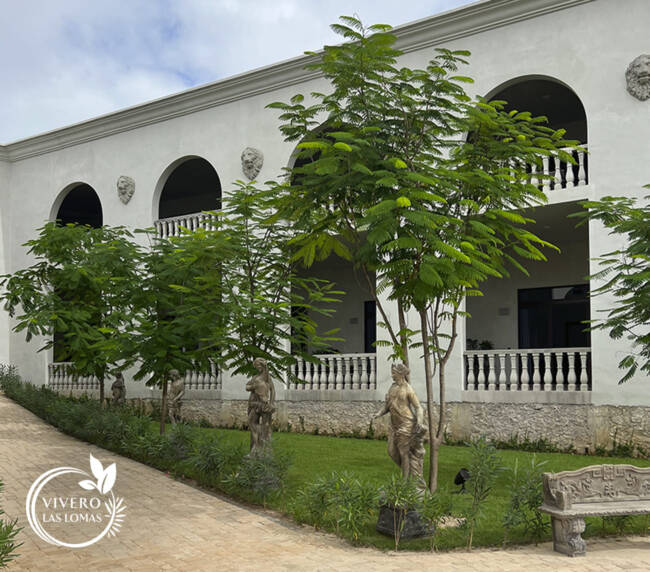 Paisajismo en universidades