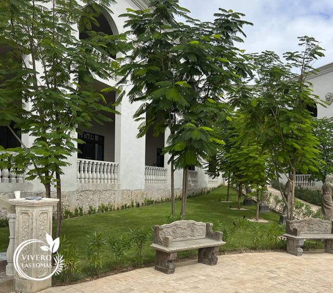 Paisajismo en universidades