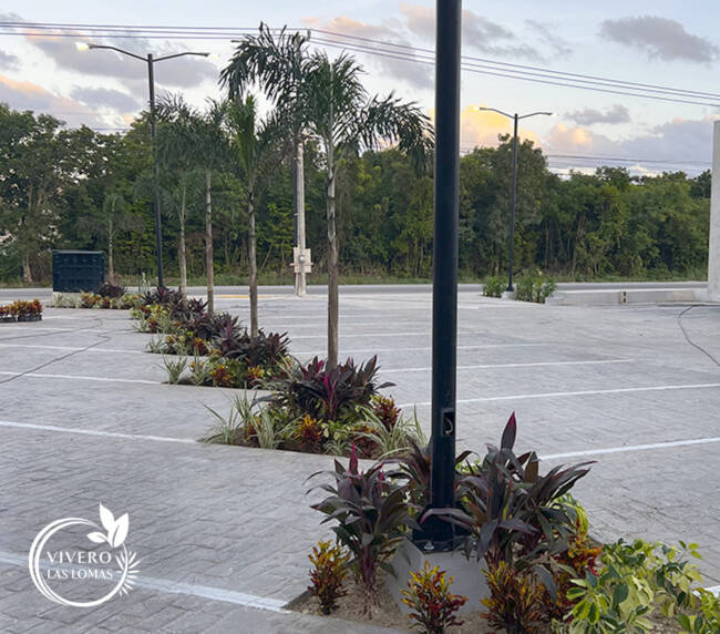 Paisajismo en plazas