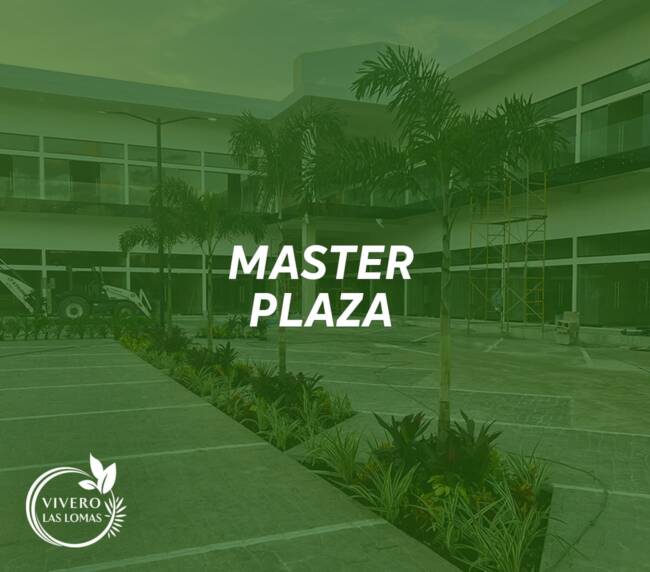 Paisajismo en plazas