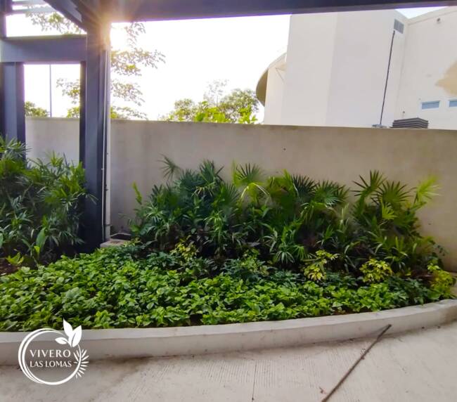 Paisajimos en empresas