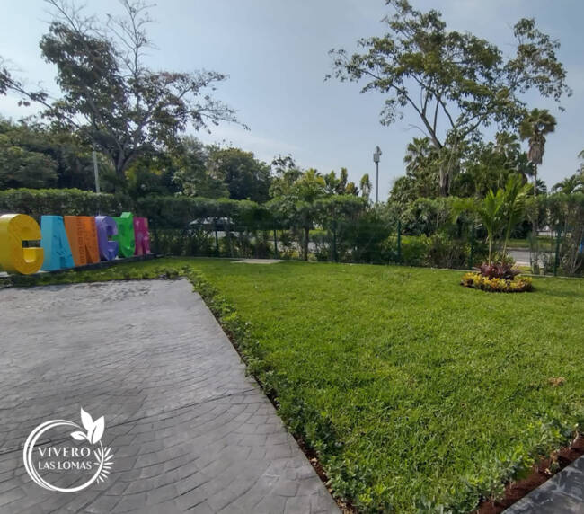 Paisajimos en empresas