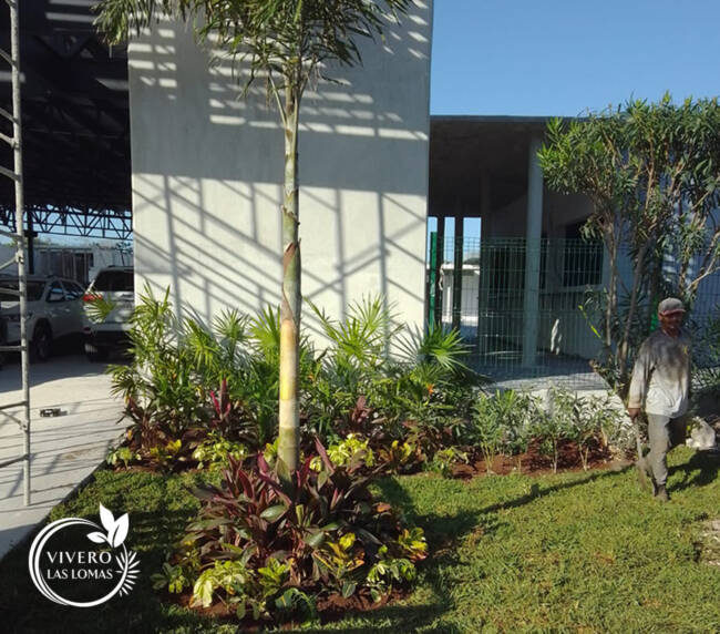 Paisajimos en empresas