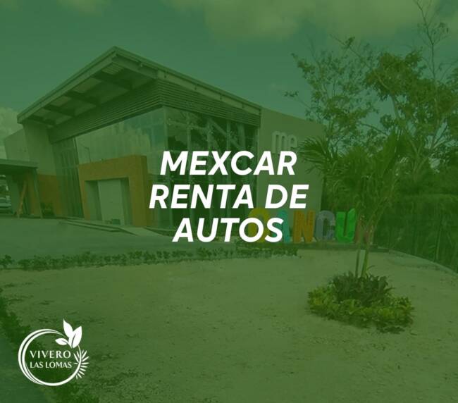 Paisajimos en empresas