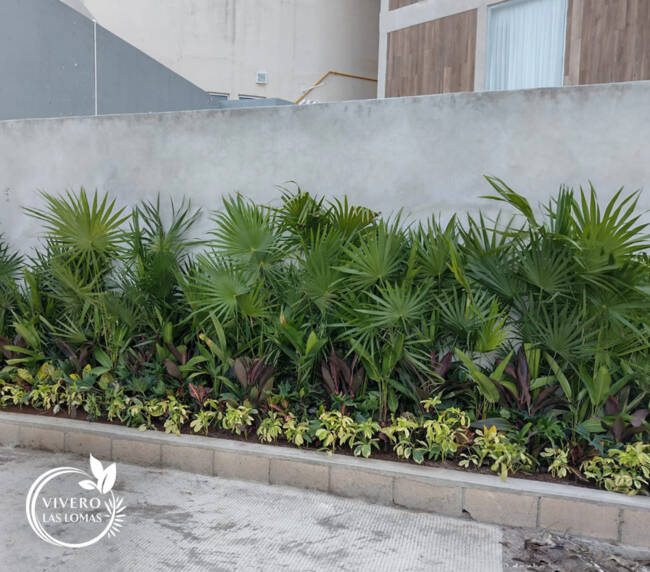 Paisajimos en empresas