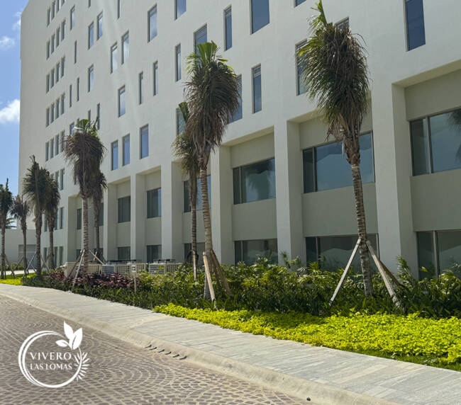 Paisajismo en jardines