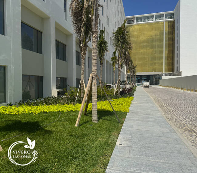 Paisajismo en jardines