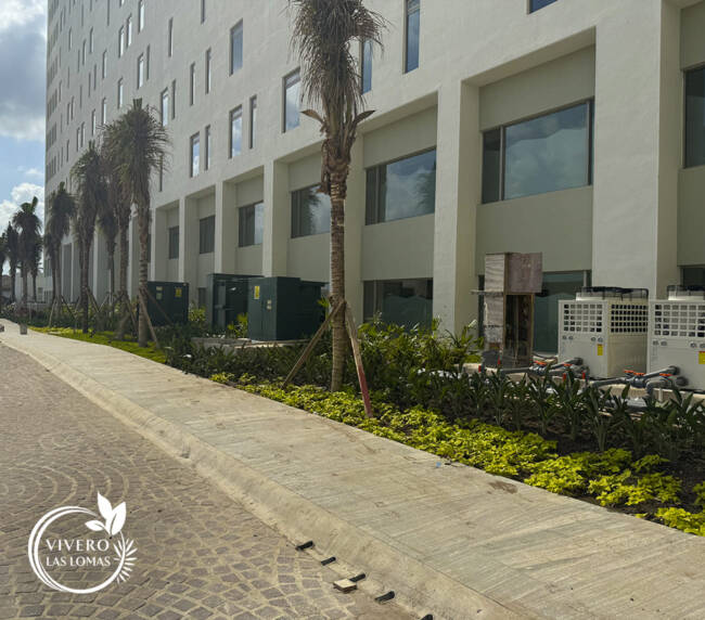 Paisajismo en jardines