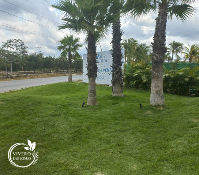 Paisajismo en showrooms