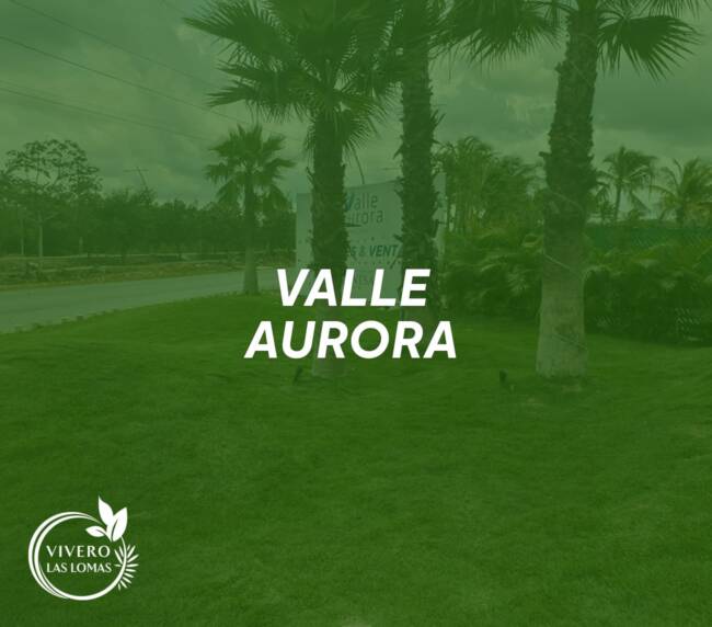 Paisajismo en showrooms