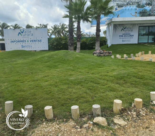 Paisajismo en showrooms