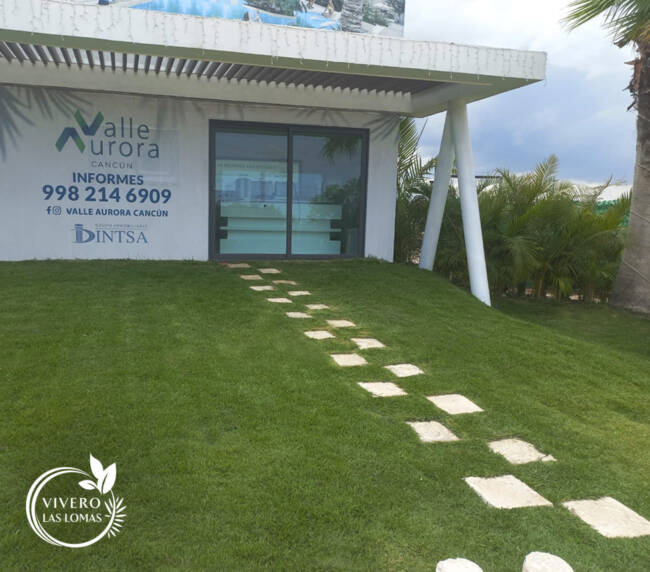 Paisajismo en showrooms