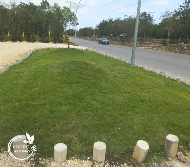 Paisajismo en showrooms